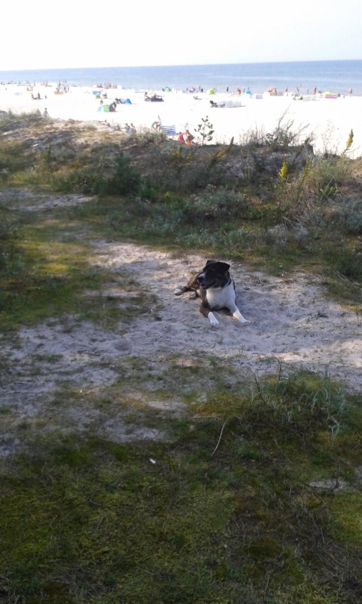 Willa Tina Karwia Exteriér fotografie